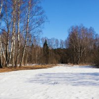 Весенний пейзаж. :: Милешкин Владимир Алексеевич 