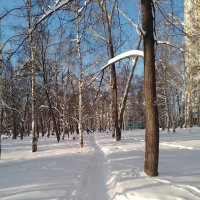 зима :: Анастасия Малыгина