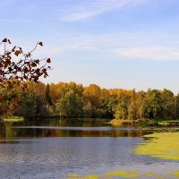 Осенний пейзаж. Река Теза. :: Сергей Пиголкин