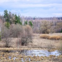 Весны начало... :: Влад Никишин