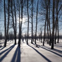 Зимний день :: Андрей Хлопонин
