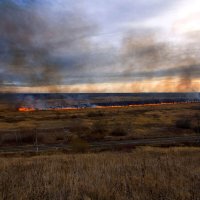 Осеннее :: Пасечник 