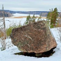 Место силы: сейд-камень, станция Гвардейская, Ленинградская область :: Юрий 