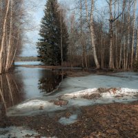 Вэллен подбирается к дому :: liudmila drake