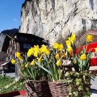 "Весеннее" пробуждение... Lauterbrunnen Wunderbares  /Schweizer/ :: "The Natural World" Александер