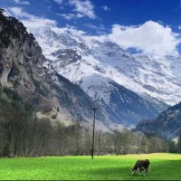 "Весеннее" пробуждение... Lauterbrunnen "Jungfraujoch" Wunderbares /Schweizer/ - :: "The Natural World" Александер