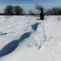 В пойме Клязьмы... :: Владимир Шошин