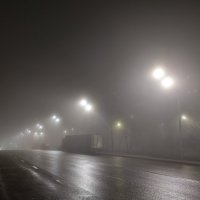 Туман - туманище как молоко :: Павел Петров