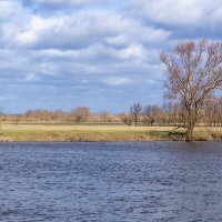 Река Днепр, Беларусь :: Игорь Сикорский