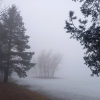 Туман :: Сапсан 