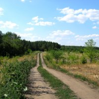 Под Самарой :: Надежда 