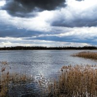 Резкое похолодание на Смоленщине. :: Милешкин Владимир Алексеевич 