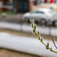 В городе апрель :: Валерий Иванович