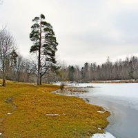 На берегу озера. :: Лия ☼