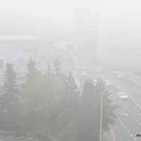 Утренний туман. :: Валерьян 