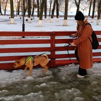 Увлеклась... :: Владимир Шошин