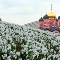 Зарядье 7 апреля :: Михаил Бибичков