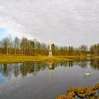 Два лебедя на озере у Чесменского обелиска. :: Лия ☼