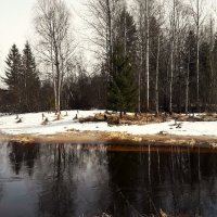 Весна. :: Андрей Генинг.