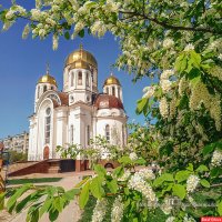 Православная весна 2024 :: Игорь Сарапулов