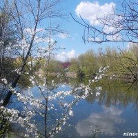 В ростовском зоопарке :: Нина Бутко