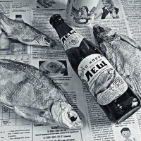 Пиво с рыбой. :: Михаил Столяров