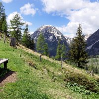 Мир Природы "The Natural World" Весеннее пробуждение, Österreich Urlaub in Ramsau am Dachs :: "The Natural World" Александер