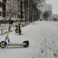 Зима вернулась :: Наталья Герасимова