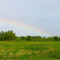 ВЕСЕННЯЯ  РАДУГА-ДУГА :: Валентина 