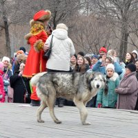 Москва. Масленица 2024. Музеон. :: Наташа *****