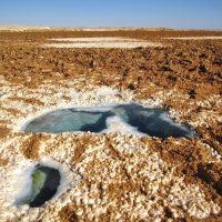 Солёные минеральные источники на озере Зейтун. :: unix (Илья Утропов)