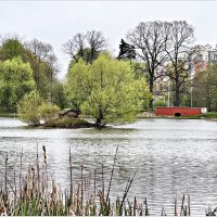 Весна на озере Летнем. :: Валерия Комова