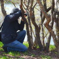 Фотопрогулка «Приметы весны» :: Галина 