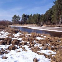 Яркий день в начале апреля :: Сергей Курников