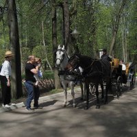 Знакомство :: Магомед .