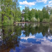 Пейзаж на озере лебединка (г.Выкса) :: Tarka 