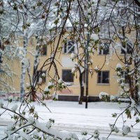 Весенний снег :: Владимир M