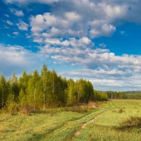 Май. :: Андрей Андрианов