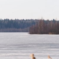 Ранневесенний пейзаж с замёрзшим озером. :: Евгений Седов