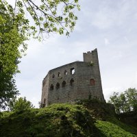 Руины крепости 11 века Спесбург, Ельзас, Франция :: Галина 