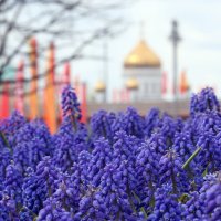 6 мая в Зарядье :: Михаил Бибичков