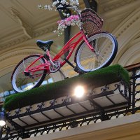 Цветочный велосипед :: Александр Рыжов