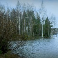 Нерль близ п. Сокол... :: Владимир Шошин