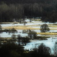 Воды Клязьмы... :: Владимир Шошин