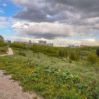 Перед дождём... :: Владимир Жданов