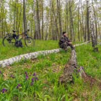 в майском лесу :: Виталий 