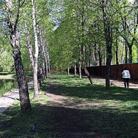 В парке. :: Владимир Драгунский
