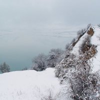 ЗИМНЯЯ ПРОГУЛКА. :: Виктор Осипчук