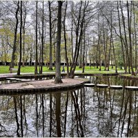 На озере. :: Валерия Комова