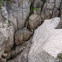 Лаго - Наки, снег даже в Августе :: Игорь Сикорский